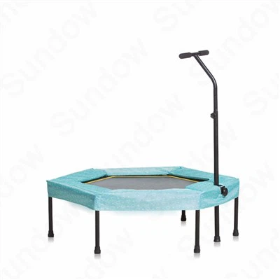 Indoor Fitness Trampoline